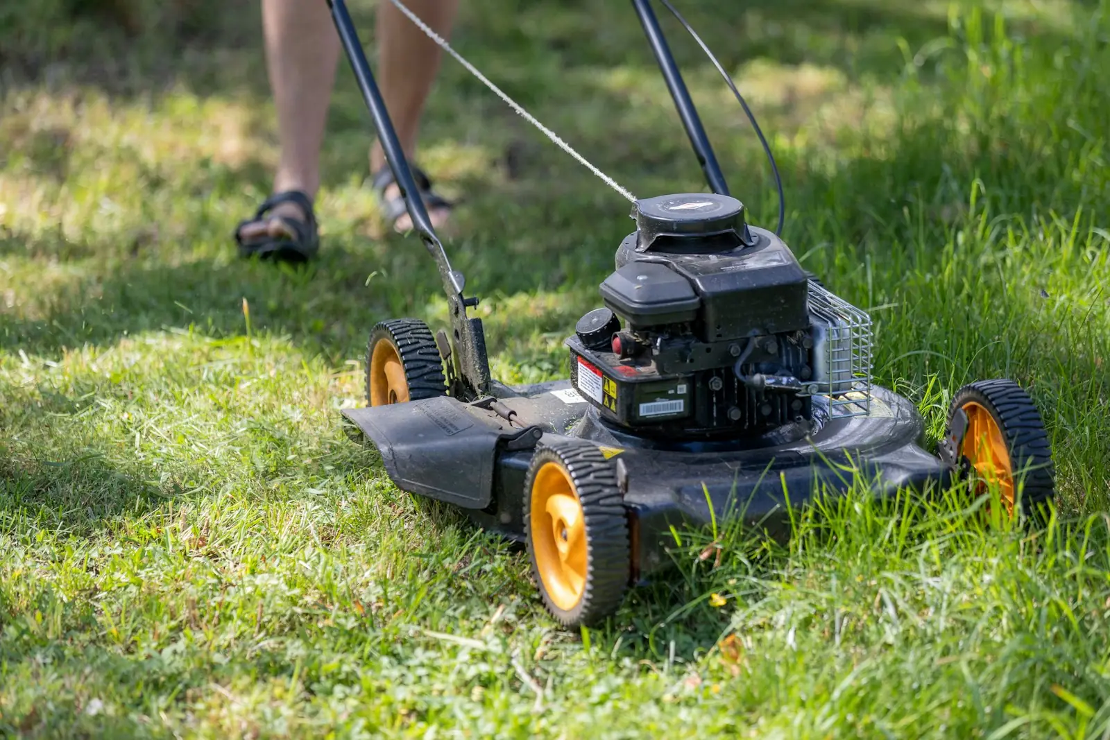 Push mower cutting thick green grass