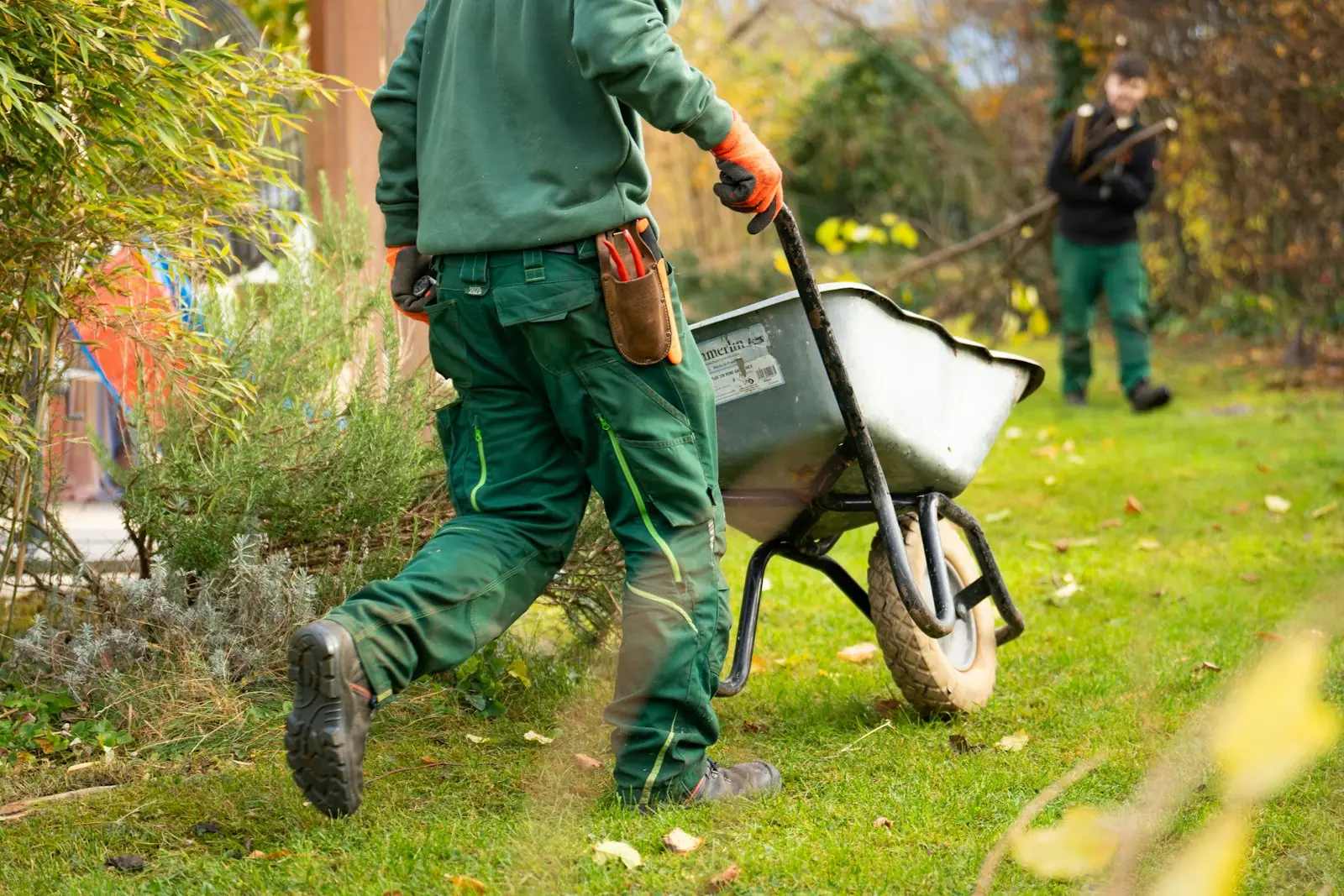 Landscaper in green work clothes pushing a wheelbarrow across a garden lawn