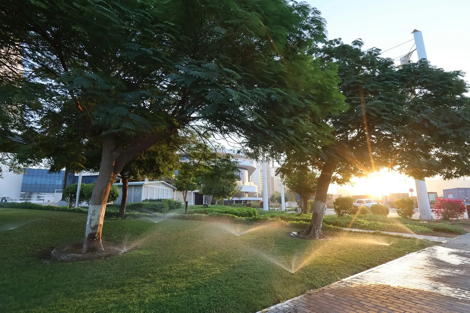Row of sprinklers watering a green lawn in low golden sunlight